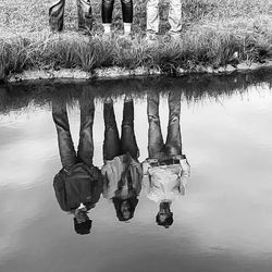 Reflection of trees in lake