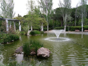 Scenic view of lake in forest