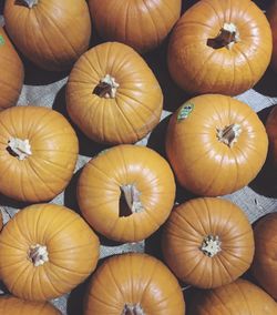 High angle view of pumpkins