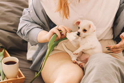 A cheerful young teenage woman plays with her pet a small dog in bed in the morning in a cozy house