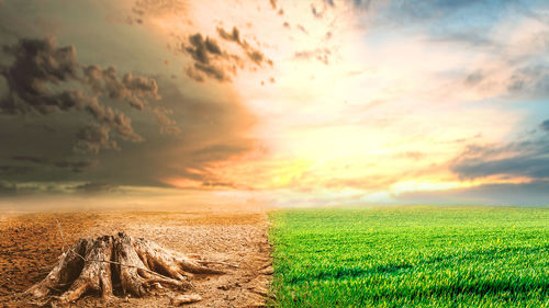 Scenic view of field against sky during sunset