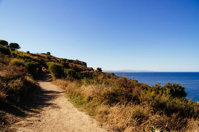 Scenic view of sea against clear blue sky