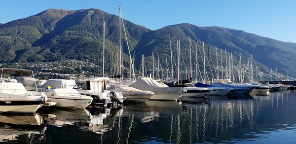 Sailboats moored in harbor