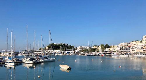 Sailboats moored at harbor against clear sky