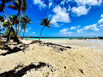 Scenic view of beach against sky