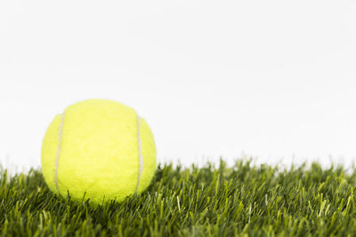 Close-up of tennis ball on field against white background