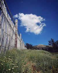 Grass on field against sky