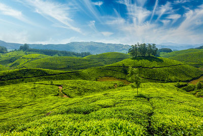 Scenic view of landscape against sky