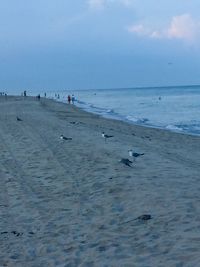 Scenic view of beach against sky