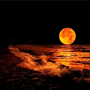 Scenic view of sky at night