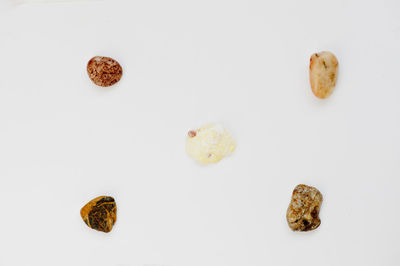 High angle view of cookies against white background