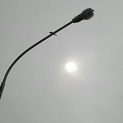 Low angle view of bird against sky