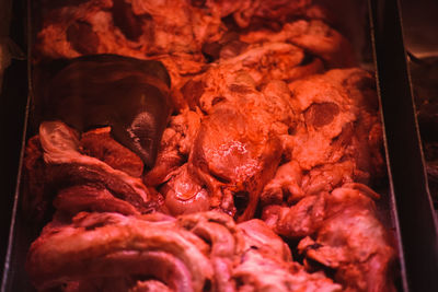 Close-up of meat for sale