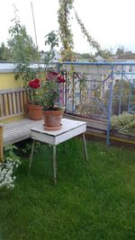 Empty bench in lawn