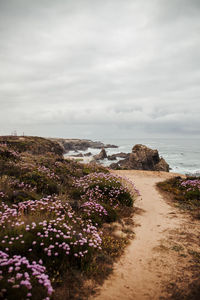 Scenic view of sea against cloudy sky