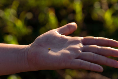 Close-up of hands