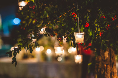 Close-up of christmas lights hanging from tree