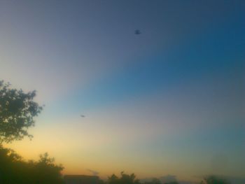 Low angle view of trees against sky at sunset