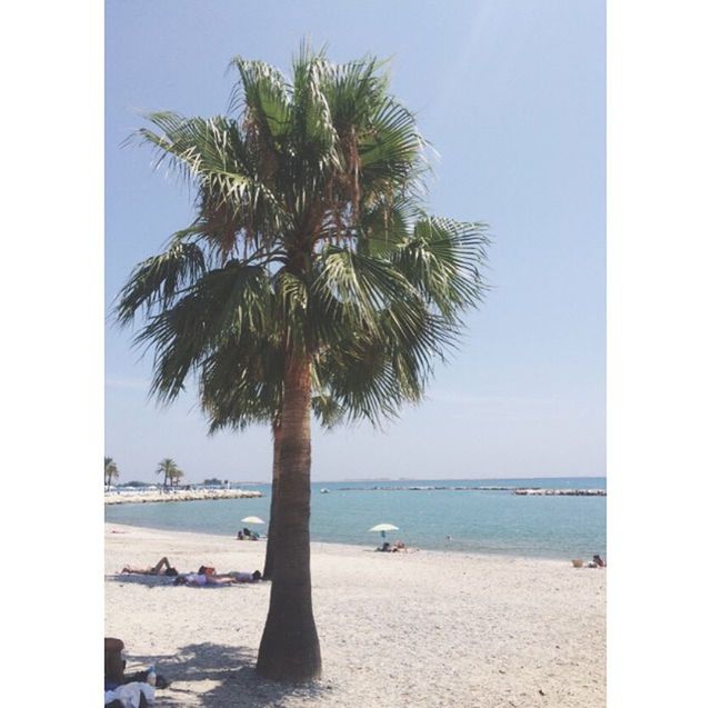 sea, beach, water, palm tree, tree, horizon over water, shore, tranquility, transfer print, tranquil scene, sand, scenics, sky, beauty in nature, nautical vessel, nature, auto post production filter, boat, transportation, tree trunk