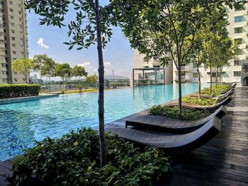 Swimming pool by trees against sky in city