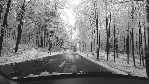 Road amidst trees seen through car windshield