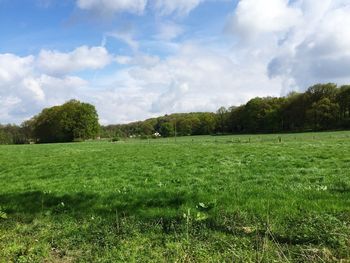 Scenic view of field against sky