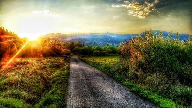 the way forward, sky, sun, grass, tranquility, diminishing perspective, tranquil scene, sunlight, landscape, road, sunbeam, vanishing point, field, tree, nature, dirt road, scenics, country road, sunset, beauty in nature