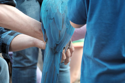 Midsection of man holding bird