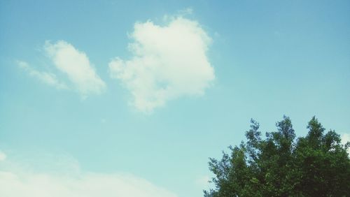 Low angle view of trees against cloudy sky