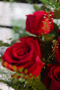 Close-up of rose bouquet