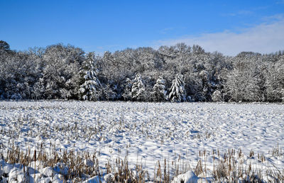 Open field covered in snow in winter