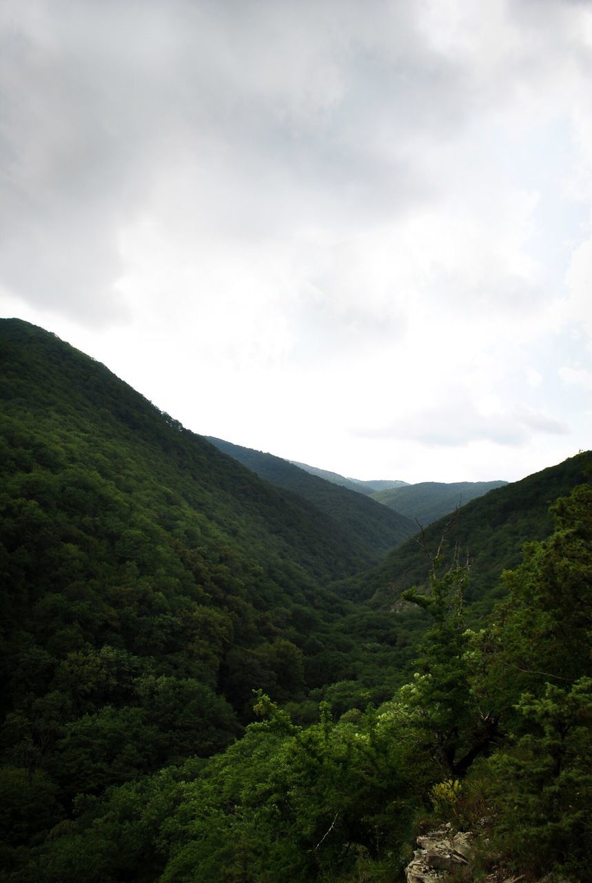 landscape, nature, sky, scenics, tranquility, green color, mountain, growth, beauty in nature, tranquil scene, no people, cloud - sky, outdoors, day, tree, freshness