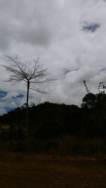 Bare trees on field against cloudy sky