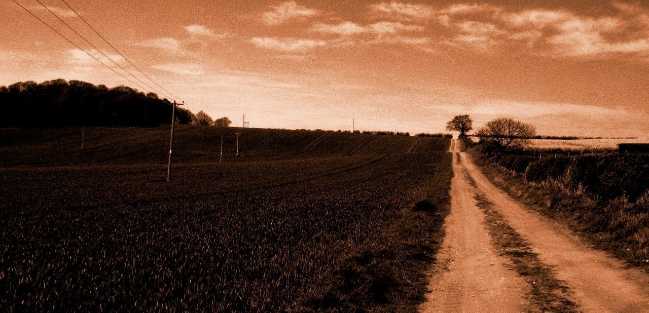 ROAD PASSING THROUGH AGRICULTURAL FIELD