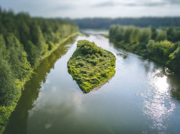 Scenic view of river amidst trees against sky
