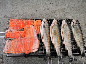 High angle view of fish in market