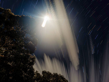 Low angle view of sunlight streaming through trees at night