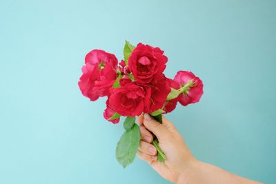Close-up of hand holding red rose against blue background