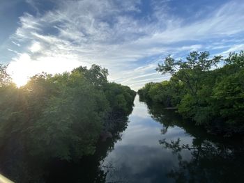 Reflection of trees on water against sky