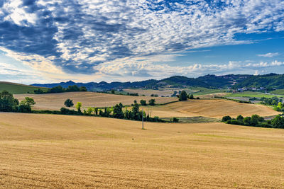 Scenic view of field against sky