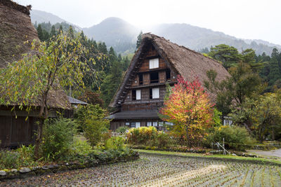 House amidst trees and buildings against sky