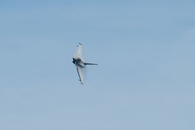 Low angle view of bird flying against clear blue sky