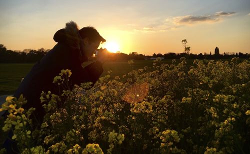 Scenic view of flowering plants on field against sky during sunset