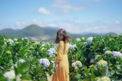 Beautiful asian woman in yellow dress walk in the hydrangea flowers garden.