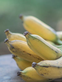 Close-up of banana 