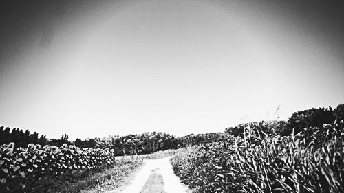 Country road along landscape
