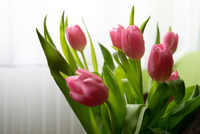 Close-up of vase with pink flowers