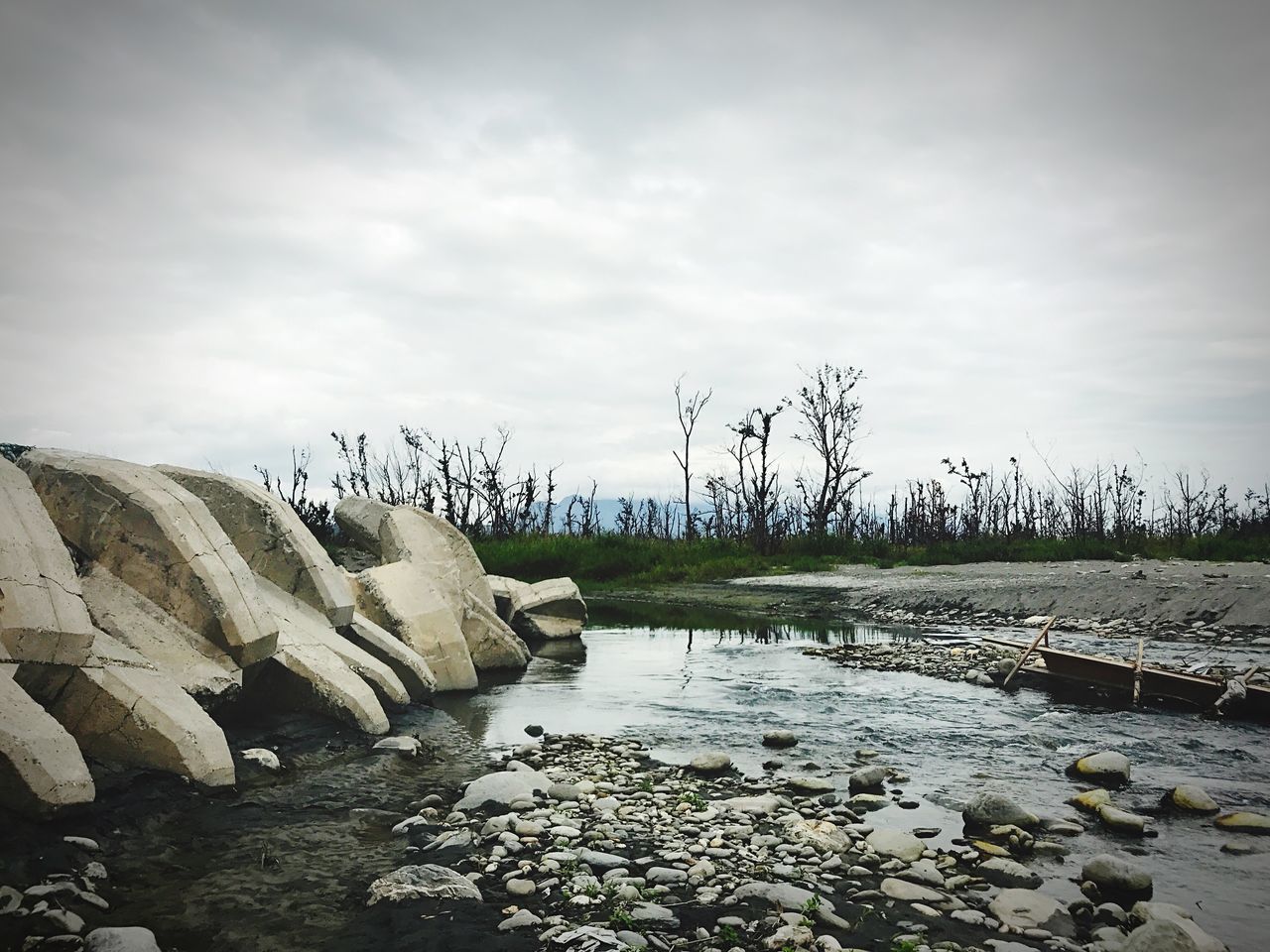 sky, nature, water, beauty in nature, no people, tree, growth, day, tranquil scene, tranquility, outdoors, lake, scenics, cloud - sky, plant