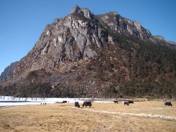 Scenic view of rocky mountains against clear sky