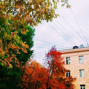 Low angle view of trees and buildings against sky